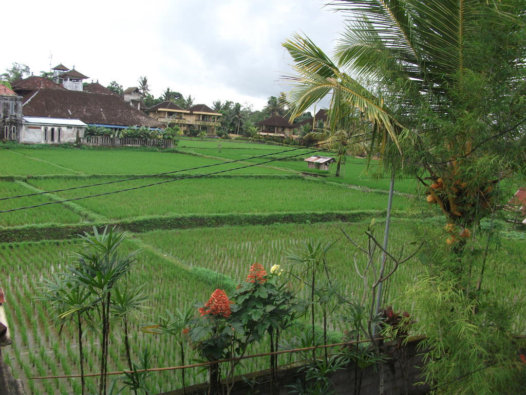 Gerhana Sari 2 Bungalows Ubud Eksteriør bilde